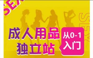 成人用品独立站从0-1入门，成品独立站运营全流程教学，七大好卖成品独立站推荐-一点通资源网