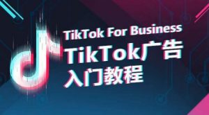 TikTok广告入门教程,从0到1掌握TikTok投放的全流程-一点通资源网