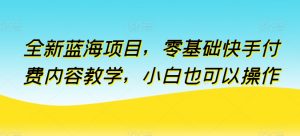 全新蓝海项目，零基础快手付费内容教学，小白也可以操作【揭秘】-一点通资源网