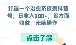 打造一个治愈系夜景抖音号，日收入300+，多方面收益，无脑操作【揭秘】-一点通资源网