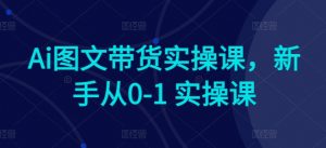 Ai图文带货实操课,新手从0-1 实操课-一点通资源网