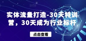 实体流量打造-30天特训营,30天成为行业标杆-一点通资源网