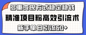 精准项目粉高效引流术，新手单日引流50+，多重变现方式稳定赚钱【揭秘】-一点通资源网