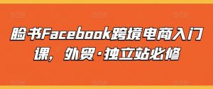 脸书Facebook跨境电商入门课，外贸·独立站必修-一点通资源网