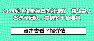 2024线上流量操盘实战课程,搭建高人效流量团队,掌握多平台流量-一点通资源网