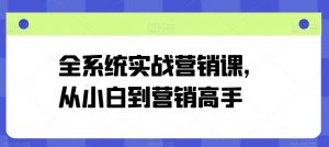 全系统实战营销课,从小白到营销高手-一点通资源网