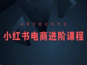 从零开始走向专业，小红书电商进阶课程-一点通资源网