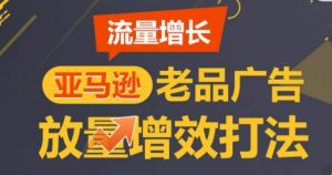 亚马逊流量增长-老品广告放量增效打法,循序渐进,打造更多TOP listing-一点通资源网