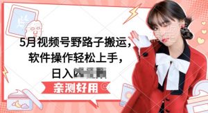 5月视频号野路子搬运,软件操作轻松上手,日入三位数【揭秘】-一点通资源网