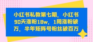 小红书私教第七期,小红书90天涨粉18w,1周涨粉破万,半年矩阵号粉丝破百万-一点通资源网
