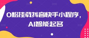 0粉挂载抖音快手小程序，AI智能起名-一点通资源网