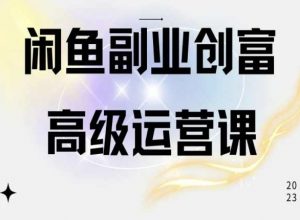 闲鱼电商运营高级课程，一部手机学会闲鱼开店赚钱-一点通资源网