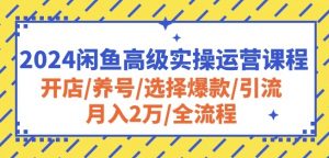 2024闲鱼高级实操运营课程:开店/养号/选择爆款/引流/月入2万/全流程-一点通资源网