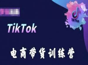 TikTok电商带货训练营，跟随时代潮流，跨境掘金-一点通资源网