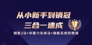 从小新手到销冠 三合一速成:销售3法+非暴力关单法+销售系统挖需课 (27节)-一点通资源网