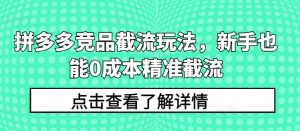 拼多多竞品截流玩法,新手也能0成本精准截流-一点通资源网