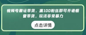 视频号搬运带货,满100粉丝即可开通橱窗带货,玩法非常暴力【揭秘】-一点通资源网