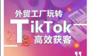 外贸工厂玩转TikTok高效获客,多种引流方式与账号定位技巧,拆解爆款短视频打造成功案例-一点通资源网