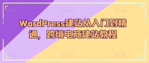 WordPress建站从入门到精通,跨境电商建站教程-一点通资源网