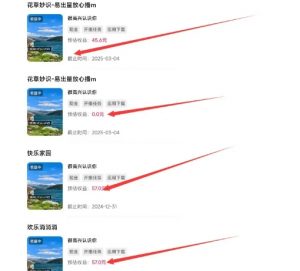 磁力聚星游戏副业陪跑训练营1.0，长期稳定项目，有人一周干了1K+-一点通资源网