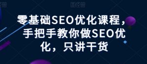 零基础SEO优化课程,手把手教你做SEO优化,只讲干货-一点通资源网