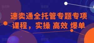 速卖通全托管专题专项课程，实操 高效 爆单-一点通资源网