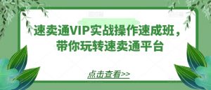 速卖通VIP实战操作速成班,带你玩转速卖通平台-一点通资源网
