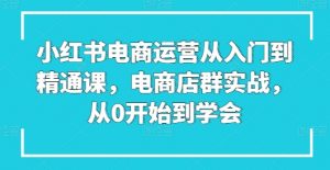 小红书电商运营从入门到精通课，电商店群实战，从0开始到学会-一点通资源网