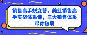 销售高手蜕变营,美业销售高手实战体系课,三大销售体系带你破局-一点通资源网