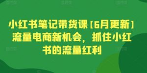 小红书笔记带货课【6月更新】流量电商新机会，抓住小红书的流量红利-一点通资源网