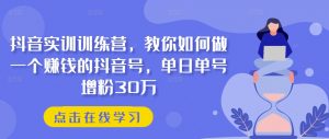 抖音实训训练营，教你如何做一个赚钱的抖音号，单日单号增粉30万-一点通资源网