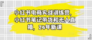小红书电商实战训练营,小红书笔记带货和无人直播,24年新课-一点通资源网