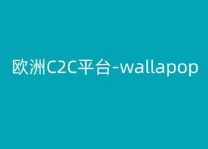 欧洲C2C平台-wallapop-kim跨境电商教程-一点通资源网