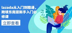 lazada从入门到精通，跨境东南亚新手入门必修课-一点通资源网