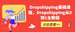 Dropshipping基础课程，Dropshipping从0到1全教程-一点通资源网
