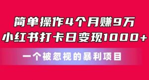 简单操作4个月赚9w,小红书打卡日变现1k,一个被忽视的暴力项目【揭秘】-一点通资源网
