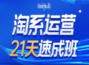 淘系运营24天速成班第28期最新万相台无界带免费流量-一点通资源网