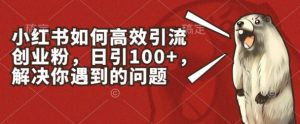小红书如何高效引流创业粉，日引100+，解决你遇到的问题【揭秘】-一点通资源网