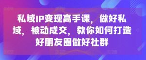 私域IP变现高手课,做好私域,被动成交,教你如何打造好朋友圈做好社群-一点通资源网
