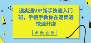速卖通VIP新手快速入门班,手把手教你在速卖通快速开店-一点通资源网