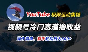 视频号冷门赛道撸收益，YouTube搬运极限运动集锦，暴力起号，操作简单流量高，轻松日入5张【揭秘】-一点通资源网