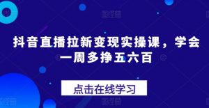 抖音直播拉新变现实操课，学会一周多挣五六百-一点通资源网