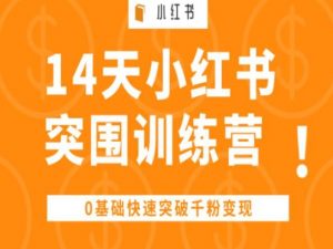 14天小红书突围训练营 ,0基础快速突破千粉变现-一点通资源网