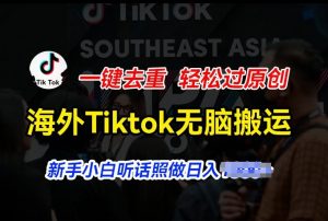 海外Tiktok短视频无脑搬运，一键去重轻松过原创，新手小白听话照做日入几张【揭秘】-一点通资源网