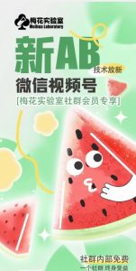 梅花实验室2024年AB技术视频号AB合成破解版-一点通资源网