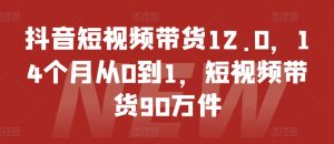 抖音短视频带货12.0，14个月从0到1，短视频带货90万件-一点通资源网