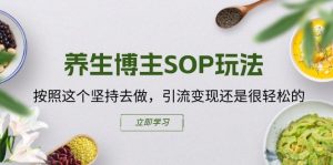 养生博主SOP玩法，按照这个坚持去做，引流变现还是很轻松的-一点通资源网
