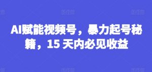 AI赋能视频号，暴力起号秘籍，15 天内必见收益【揭秘】-一点通资源网