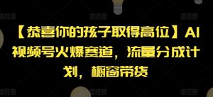 【恭喜你的孩子取得高位】AI视频号火爆赛道，流量分成计划，橱窗带货【揭秘】-一点通资源网