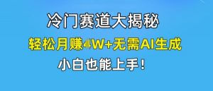 冷门赛道大揭秘，轻松月赚1W+无需AI生成，小白也能上手【揭秘】-一点通资源网